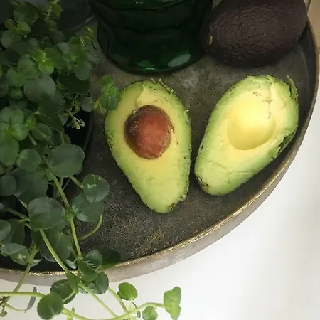 Solhaug Fjordcamping Geiranger