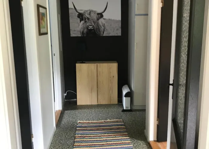 Solhaug Fjordcamping *