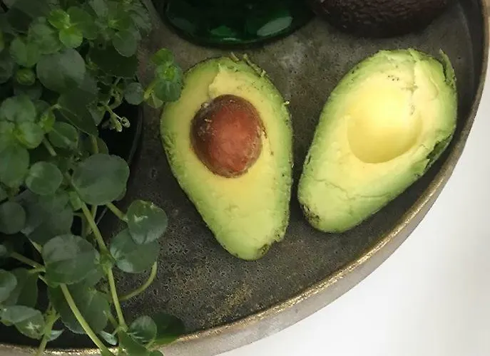 Solhaug Fjordcamping Geiranger